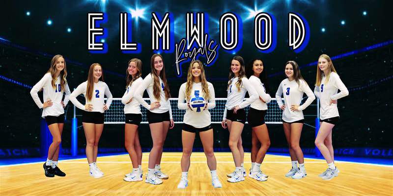 Elmwood JV Volleyball Team